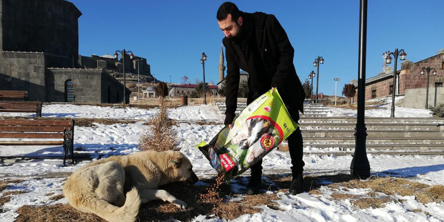 Kars Belediyesi sokak hayvanlarına mama dağıttı