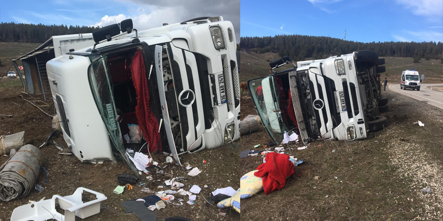 Kars’ta büyükbaş hayvan taşıyan tır kaza yaptı