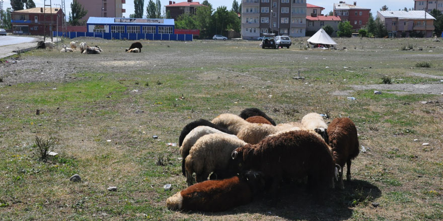 Kars’ta bayramın 2. gününde kurbanlık satışları devam etti