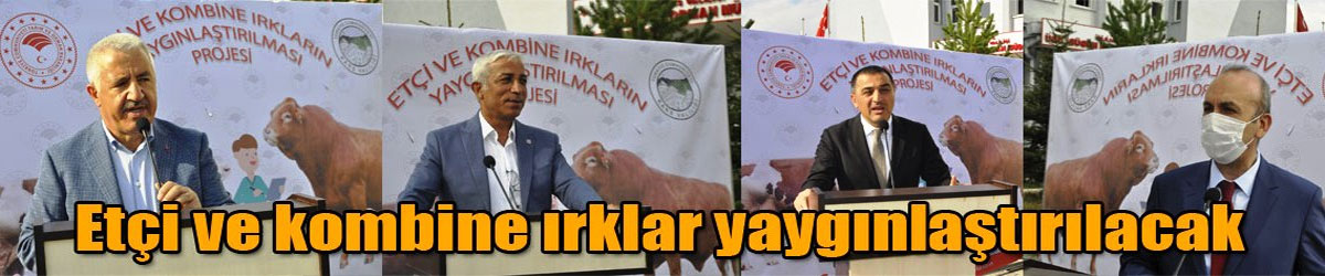 “Etçi ve Kombine Irkların Yaygınlaştırılması Projesi” Kars’tan başlayacak