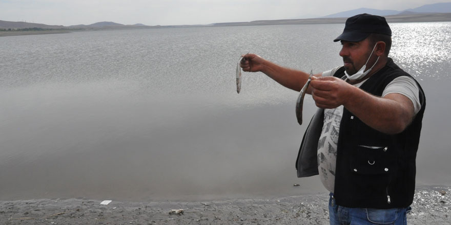 Kars'ta balık ölümleri yaşanıyor... binlerce ölü balık su yüzüne çıktı!