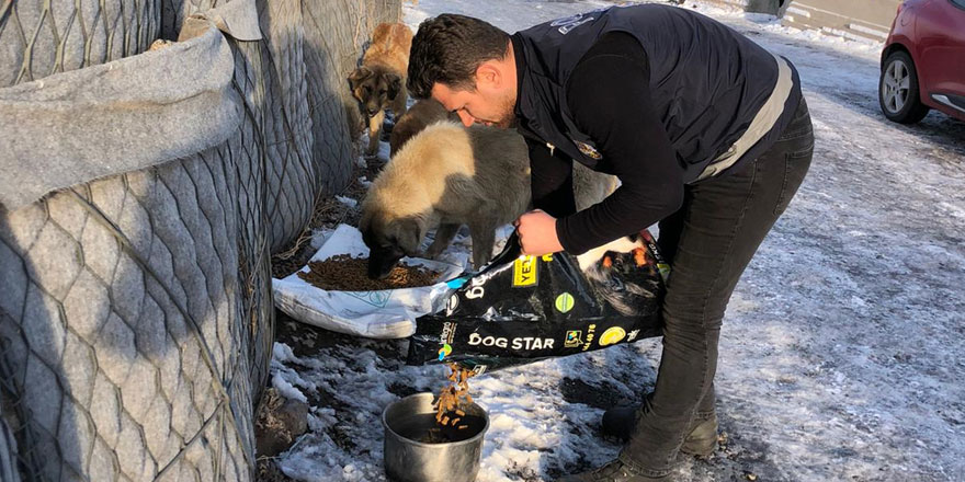 Kars’ta polisten sokak hayvanlarına mama