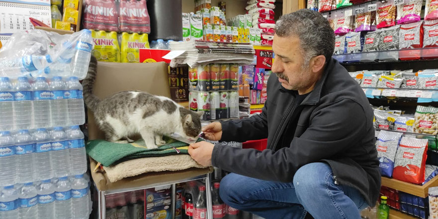 Karslı esnaf sokak hayvanlarını elleriyle besliyor