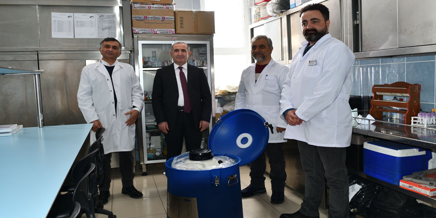 Beefmaster donmuş sığır embriyoları ilk kez Türkiye ve Kars Kafkas Üniversitesin’de