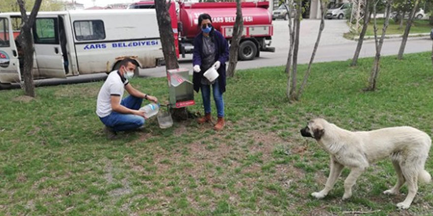 Kars Belediyesi kısıtlamada can Dostları unutmadı