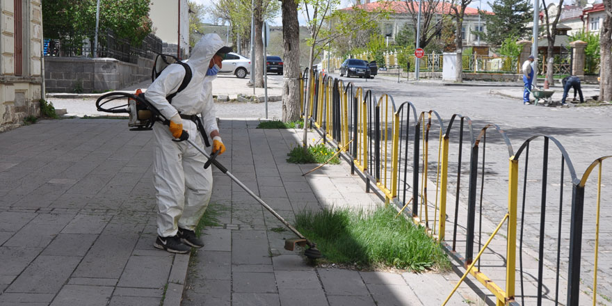 Kars’ta yabani otlar temizleniyor!