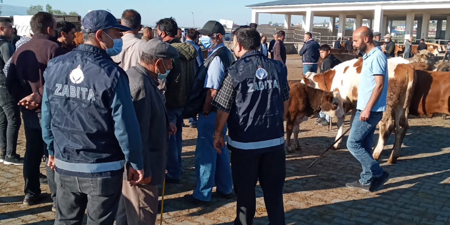 Kars Hayvan Pazarı’nda Covid-19 denetimi