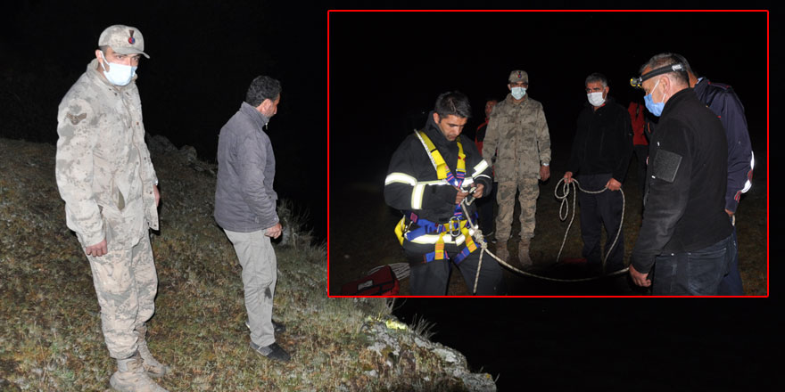 4 inek Kars Barajı sularında mahsur kaldı!