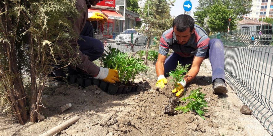 "Daha Yeşil Bir Kars İçin" çalışmalar sürüyor