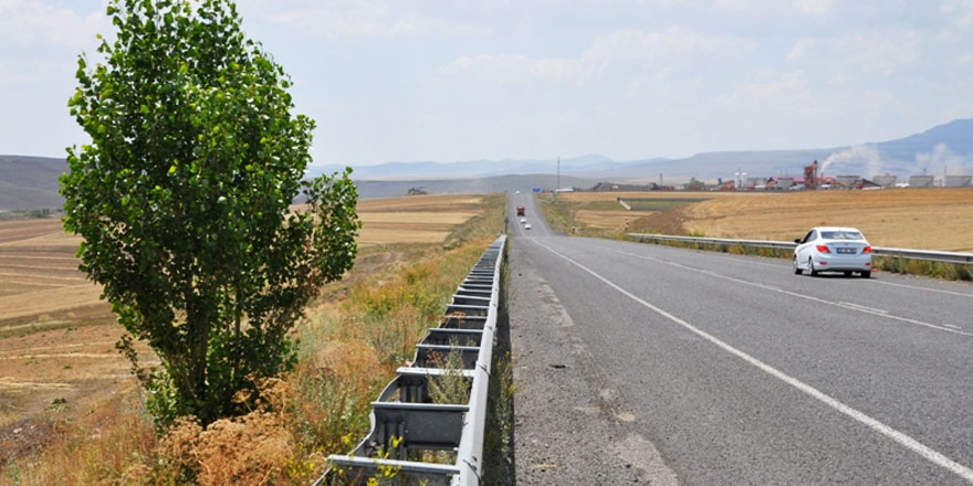 40 kilometrede tek ağaç