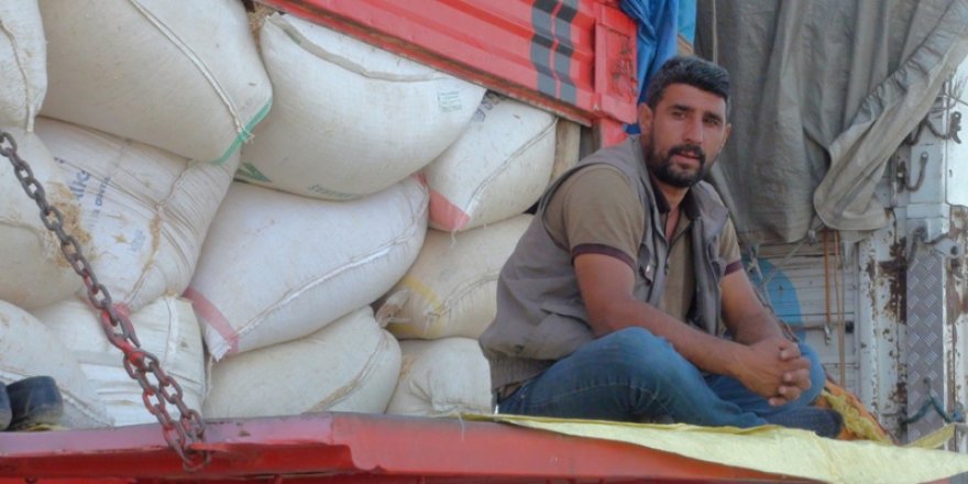 Güneydoğulu saman satıcıları Kars’ta çok dertli