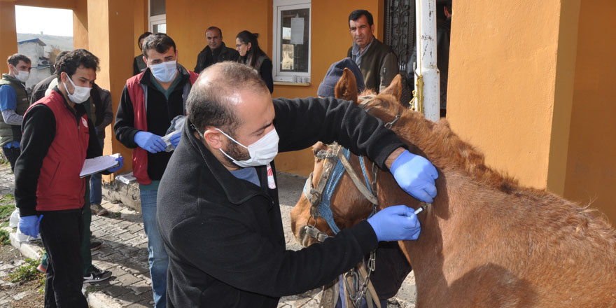 Kars’ta olası kaza ve hırsızlığa çipli koruma!