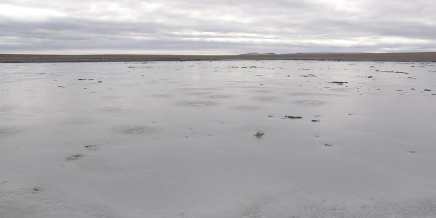 Kars’ta Boğatepe Kuş Gölü dondu