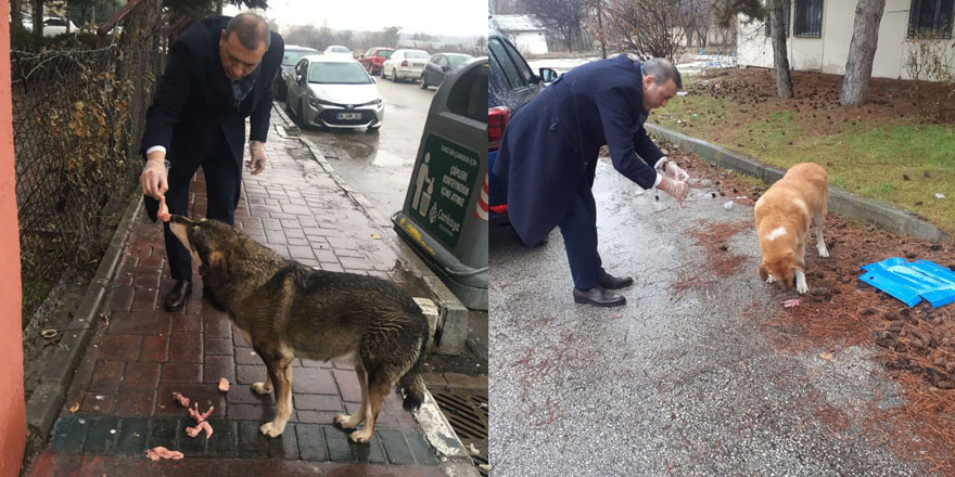 Başkan Erdoğan’dan can dostlarımız için anlamlı çağrı