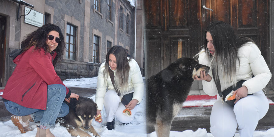 Kars’ta aç köpeği elleriyle beslediler