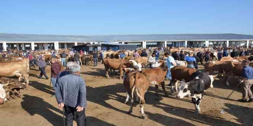 Kars’ta Hayvan Pazarları açılıyor