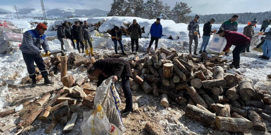 Sarıkamış’ın odunları depremzedeleri ısıtacak