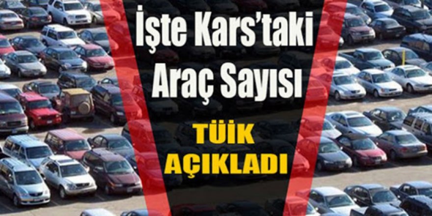 Kars'ta, trafiğe kayıtlı araç sayısı 46 bin 257 oldu