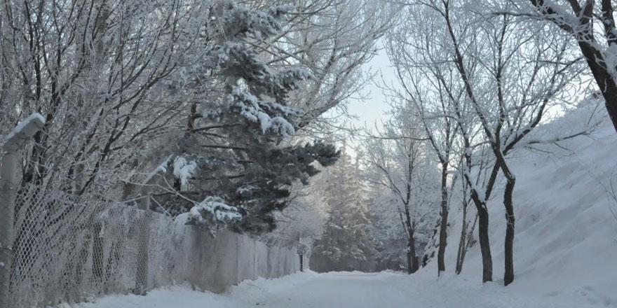 Bölgede en düşük hava sıcaklığı eksi 10 olarak Kars’ta ölçüldü