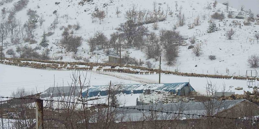 Erzincan’ın köylerinde kış mesaisi sürüyor