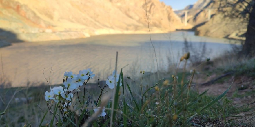 Yusufeli baraj suları, Erzurum sınırına dayandı