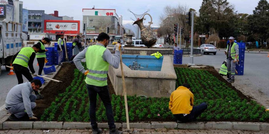 Erzincan karanfil açacak