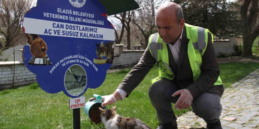 Elazığ’da sokak hayvanları unutulmadı