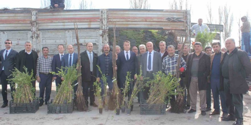 Muş’ta çiftçilere 20 bin meyve fidanı dağıtıldı