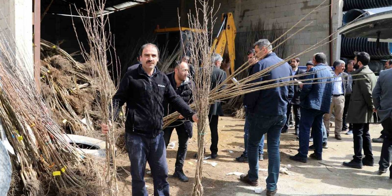 Vanlı çiftçiler, meyve fidanlarını toprakla buluşturuyor