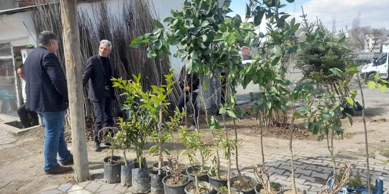 Malazgirt’te fidan satışları başladı