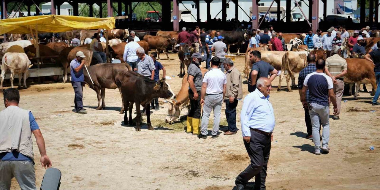 Hayvan hareketleri kısıtlaması 28 Nisan’da son buluyor