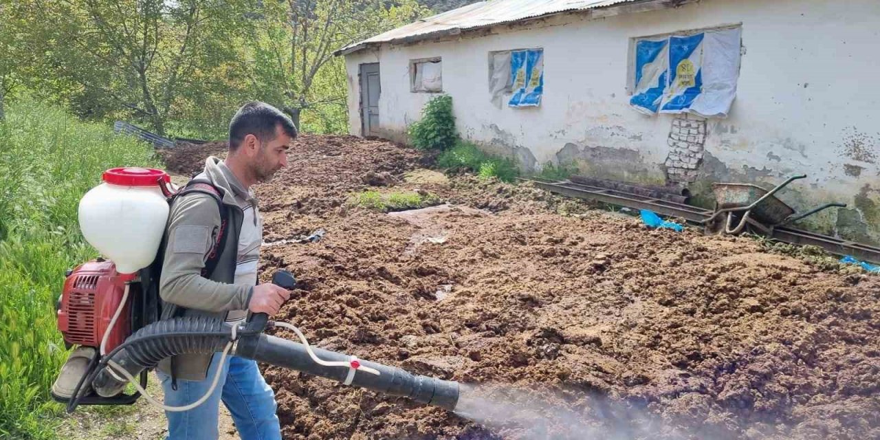 Keban’da haşere ile mücadele çalışması başladı