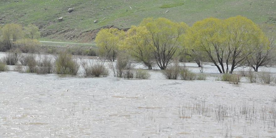 Kars’ta ağaçlar baraj suları altında kaldı