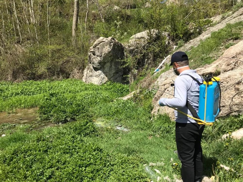 Sineklere karşı ilaçlama çalışmaları