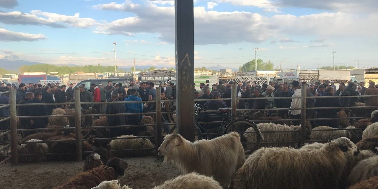 Iğdır hayvan pazarında yoğunluk