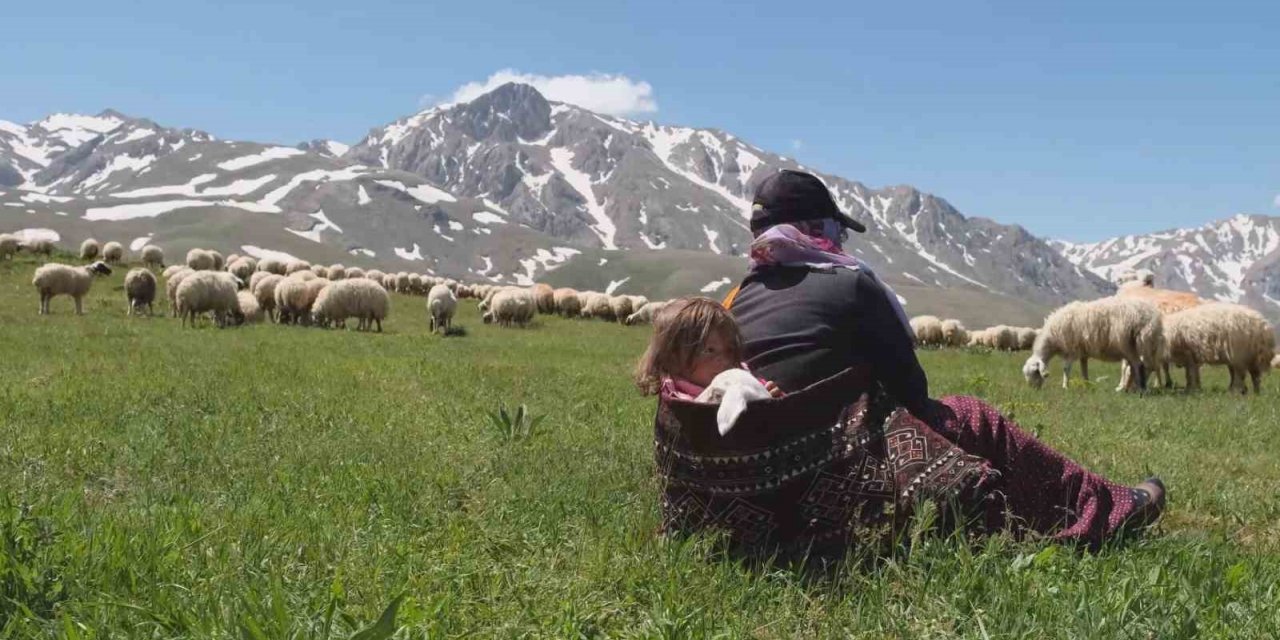 Erzincan’da meralar küçükbaş hayvanlarla şenlendi