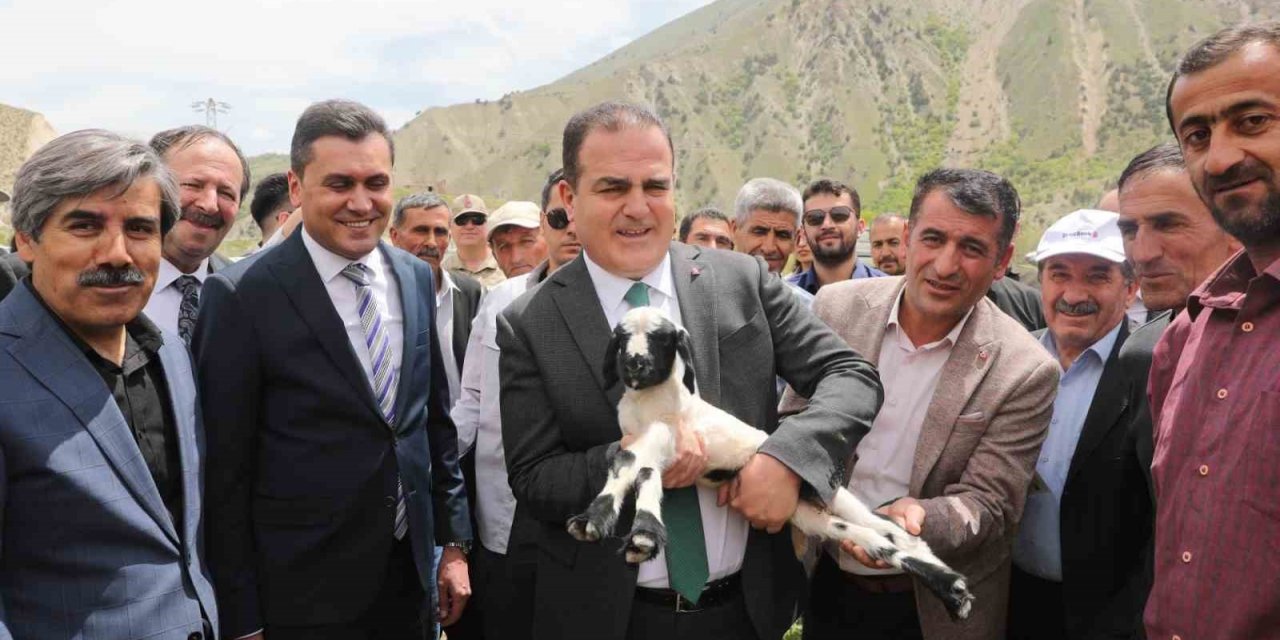 Hakkari’de 200 besiciye 4 bin küçükbaş hayvan dağıtımına başlandı