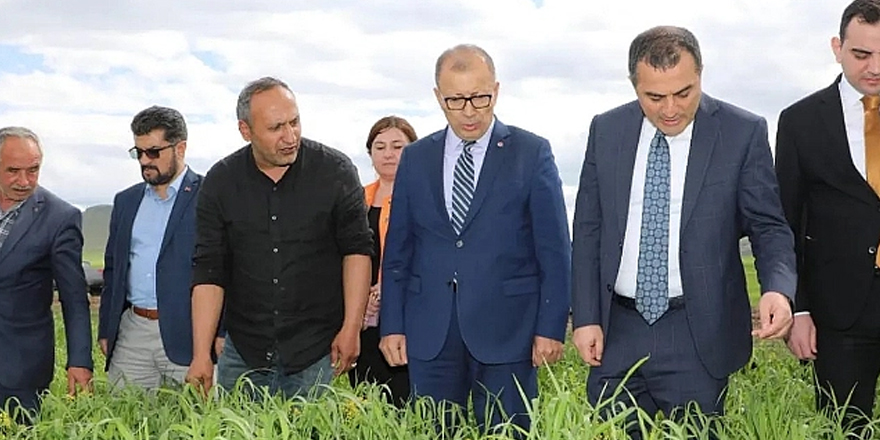 Vali Öksüz, sertifikalı buğday ekilen tarlayı inceledi