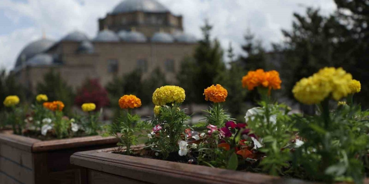 Kars Belediyesi’nden çevre düzenlemesi