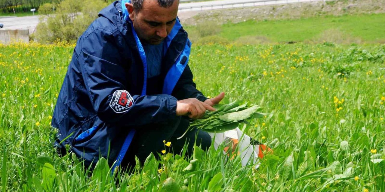 Doğadan sofralara gelen lezzetler