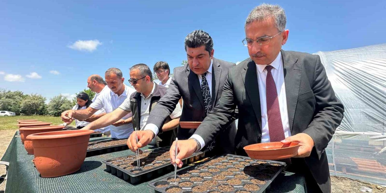 Elazığ Hipodrom Müdürlüğünün üreteceği binlerce çiçek hipodromları renklendirecek