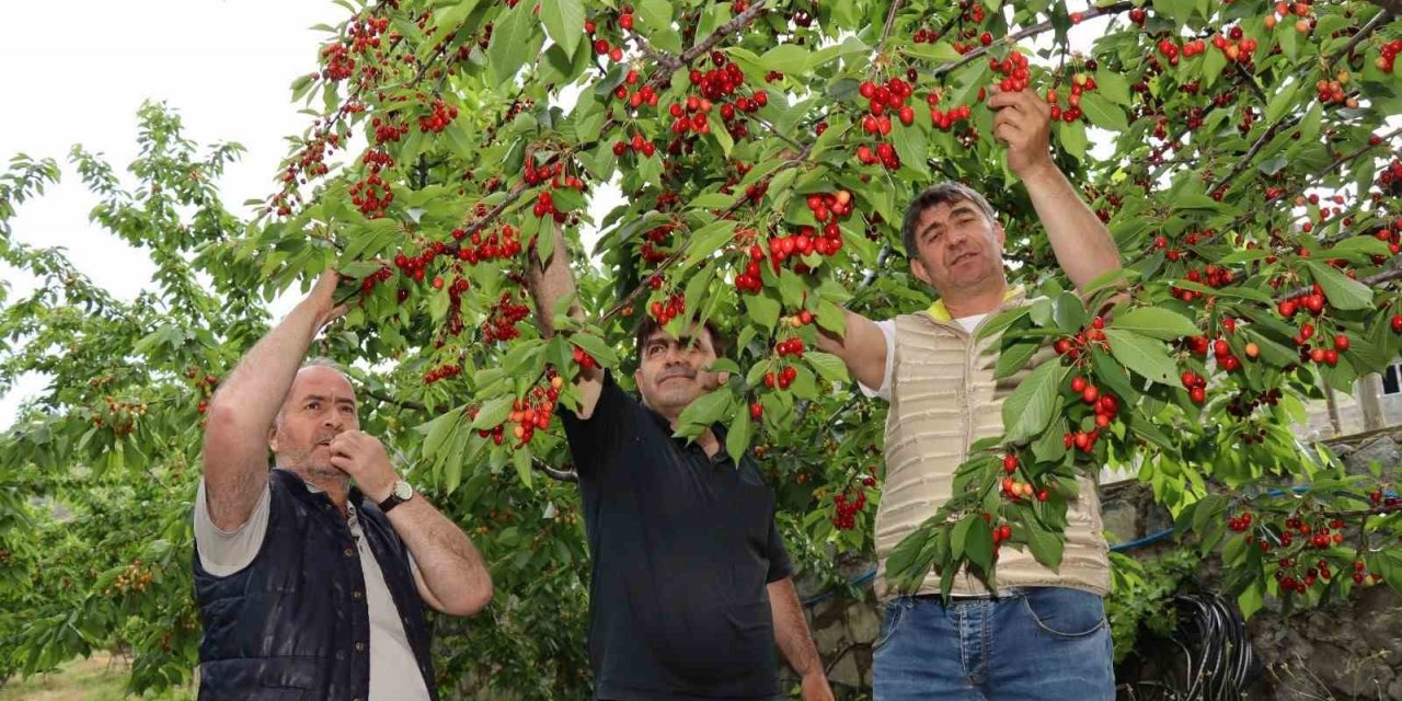 Devlet desteği ile hayalini kurduğu meyve bahçesine kavuştu