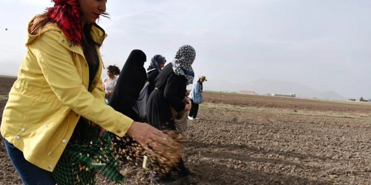 Doğubayazıtlı kadınlar toprağa hayat verdi