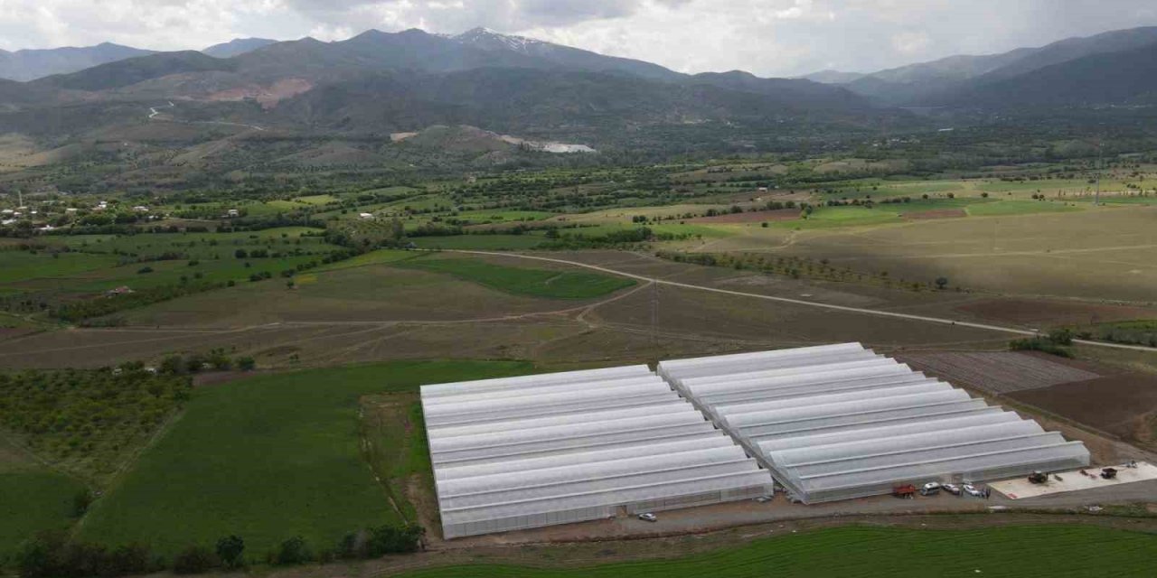 Erzincan’da seracılık sektörü, yeni kurulan seralarla büyüyor