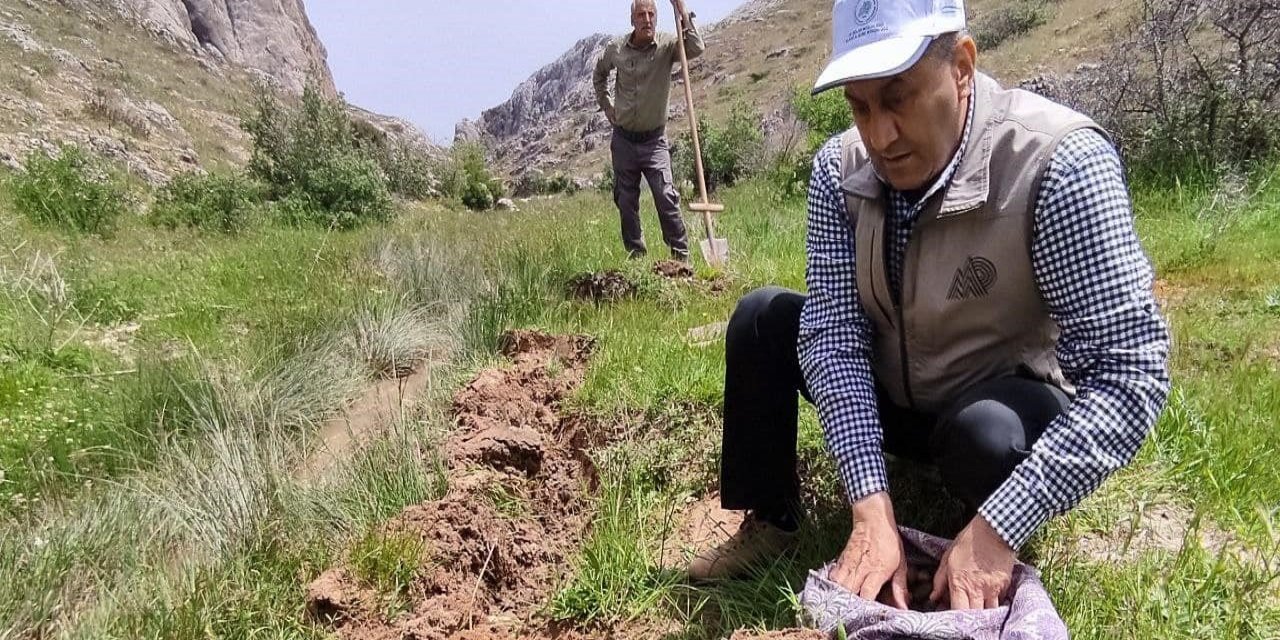 Elazığ’da salep soğanı toplayan 13 kişiye 1 milyon 518 bin lira ceza