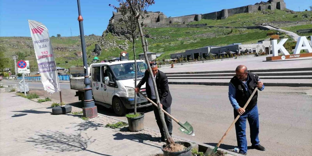 Kars’ta kuruyan ağaçlar değiştiriliyor