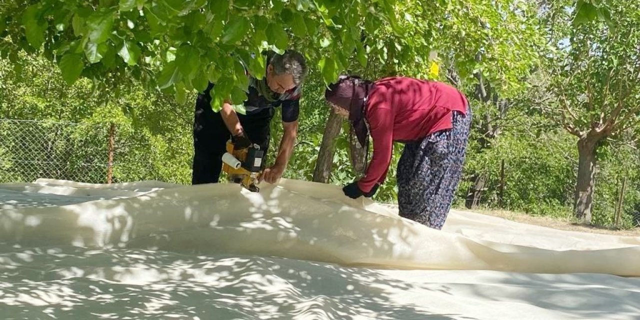 Tunceli’de dut üreticileri dayanışma içerisinde bahçelerini sezona hazırlıyor