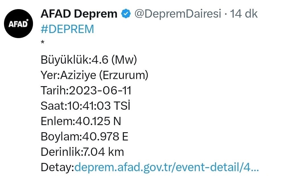 Erzurum 4,6 ile sallandı