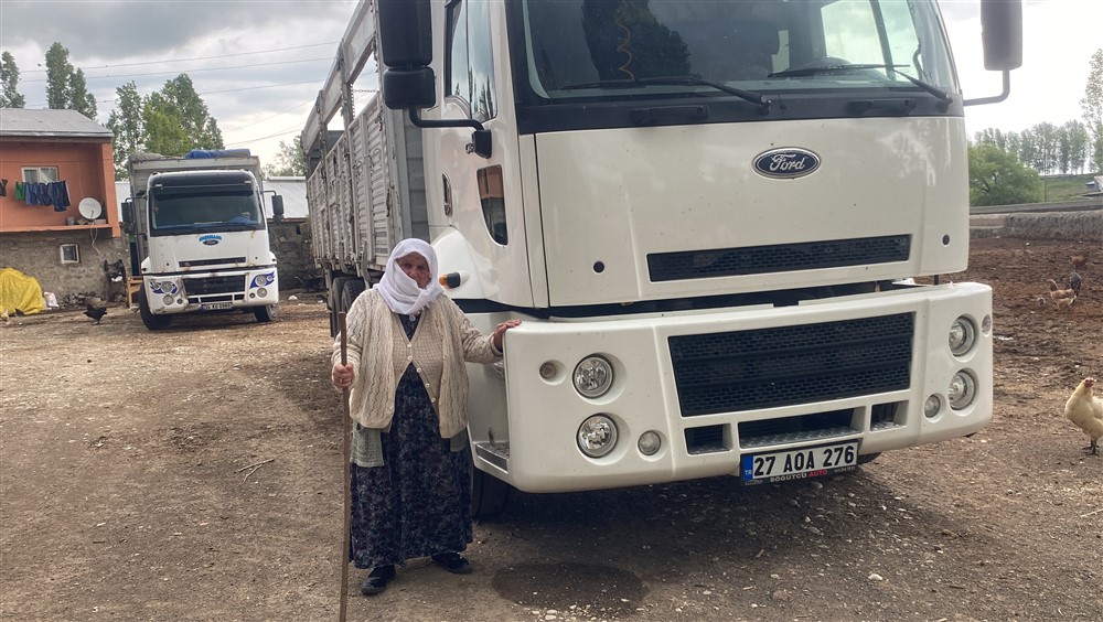 Menşur Sarıgül ninenin Kurbanlık tosunları İstanbul’a yola çıktı