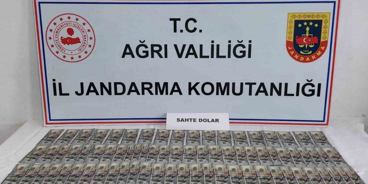 Ağrı’da Jandarmadan sahte dolar operasyonu